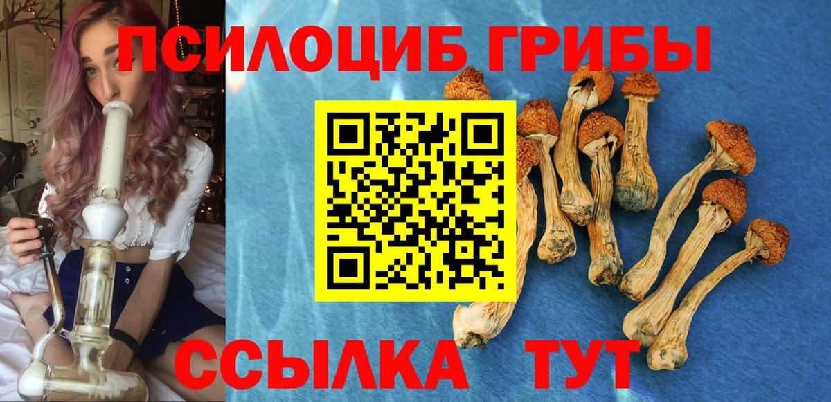 Псилоцибиновые грибы прущие грибы  Галлюциногенные грибы ЛСД  Вход с VPN  Каменка 