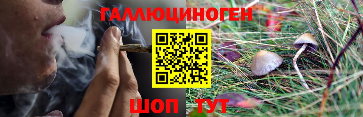Галлюциногенные грибы Magic Shrooms Каменка